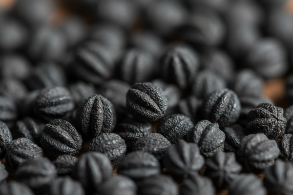 Black Seed
